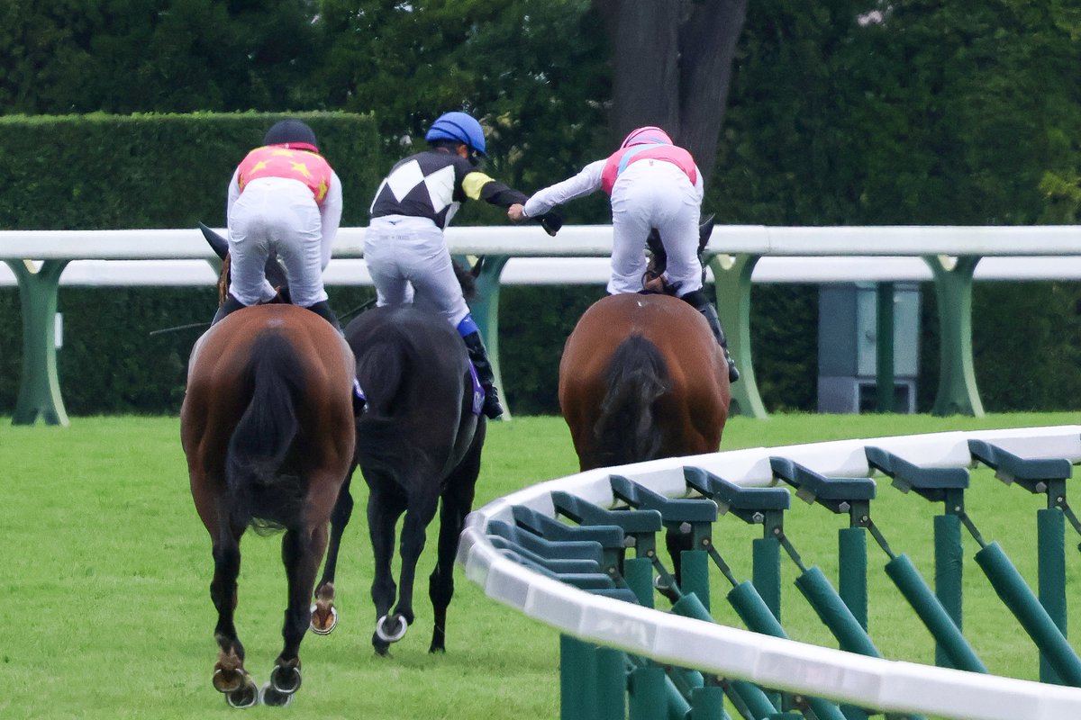 qinggengcai_ph's tweet photo. 2026.09.27　中山11r
GI スプリンターズステークス
🥇ピューロマジック　岩田望来 騎手

岩田親子のグータッチ😭✊🏻 https://t.co/J58kxYDY0c