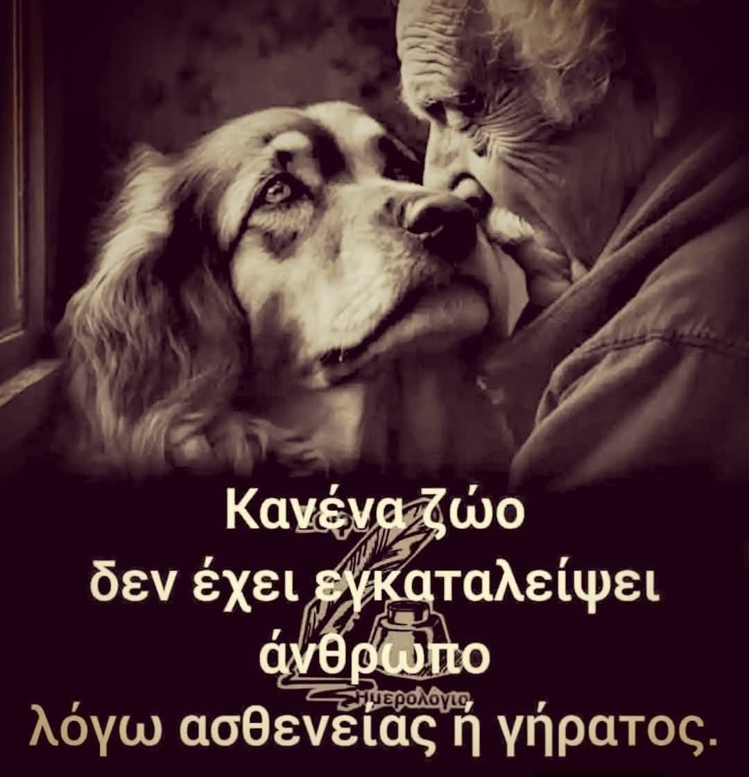 5c4fa9e2418f474's tweet photo. 🐕❤🐕❤🐕 https://t.co/4B6Cohm78I