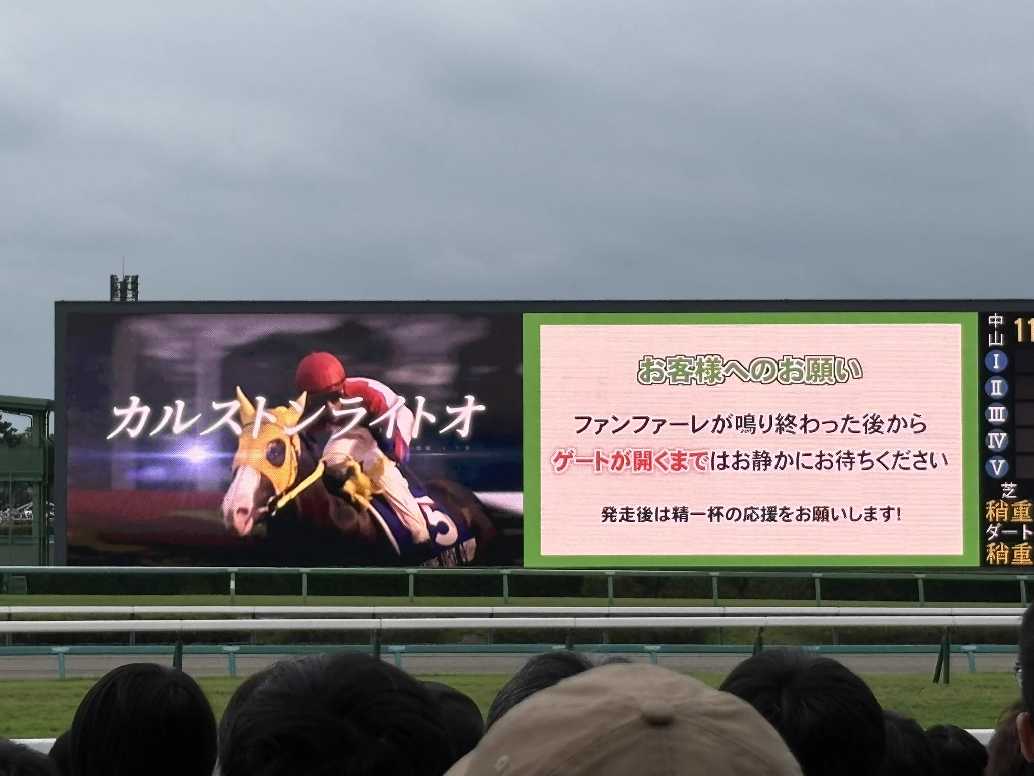 裾野こがら a X: 