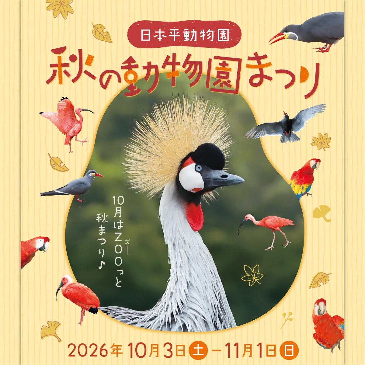 静岡市立日本平動物園 on X: 