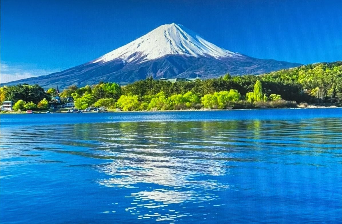 hhjustme's tweet photo. 実は、積読が減らない理由って、魅力的な本が増えているから。
手元にあっても新しい刺激に惹かれ、つい他の本を手に取る日々。共感する仲間、いますか？ https://t.co/d48izvXk08