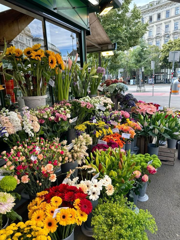 Flowersidmb's tweet photo. https://t.co/JvSk7dfUgO