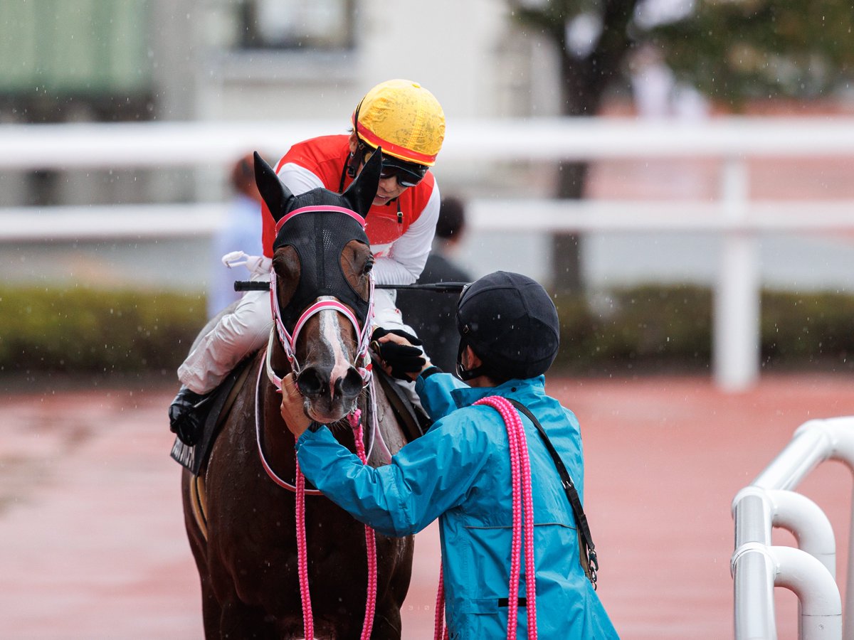 k3i0nc12's tweet photo. 2026/9/27 阪神競馬場 堺ステークス

#ショウナンバンライ
#松下武士 厩舎
#池添謙一 騎手 https://t.co/v06xnUZL3O