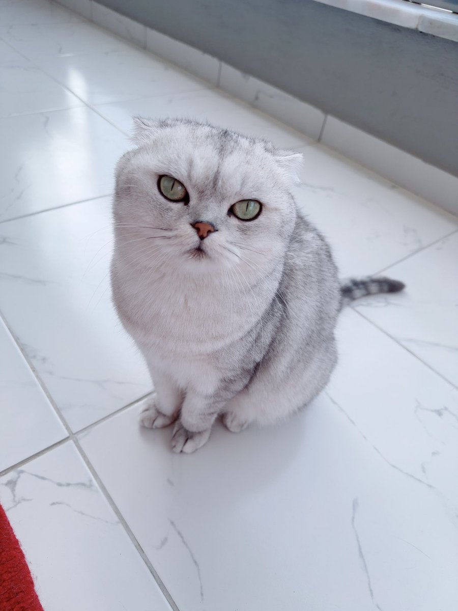 laaViida_'s tweet photo. Benim sürmeli oluuuuum🫠🧿 https://t.co/FmOoo14evi