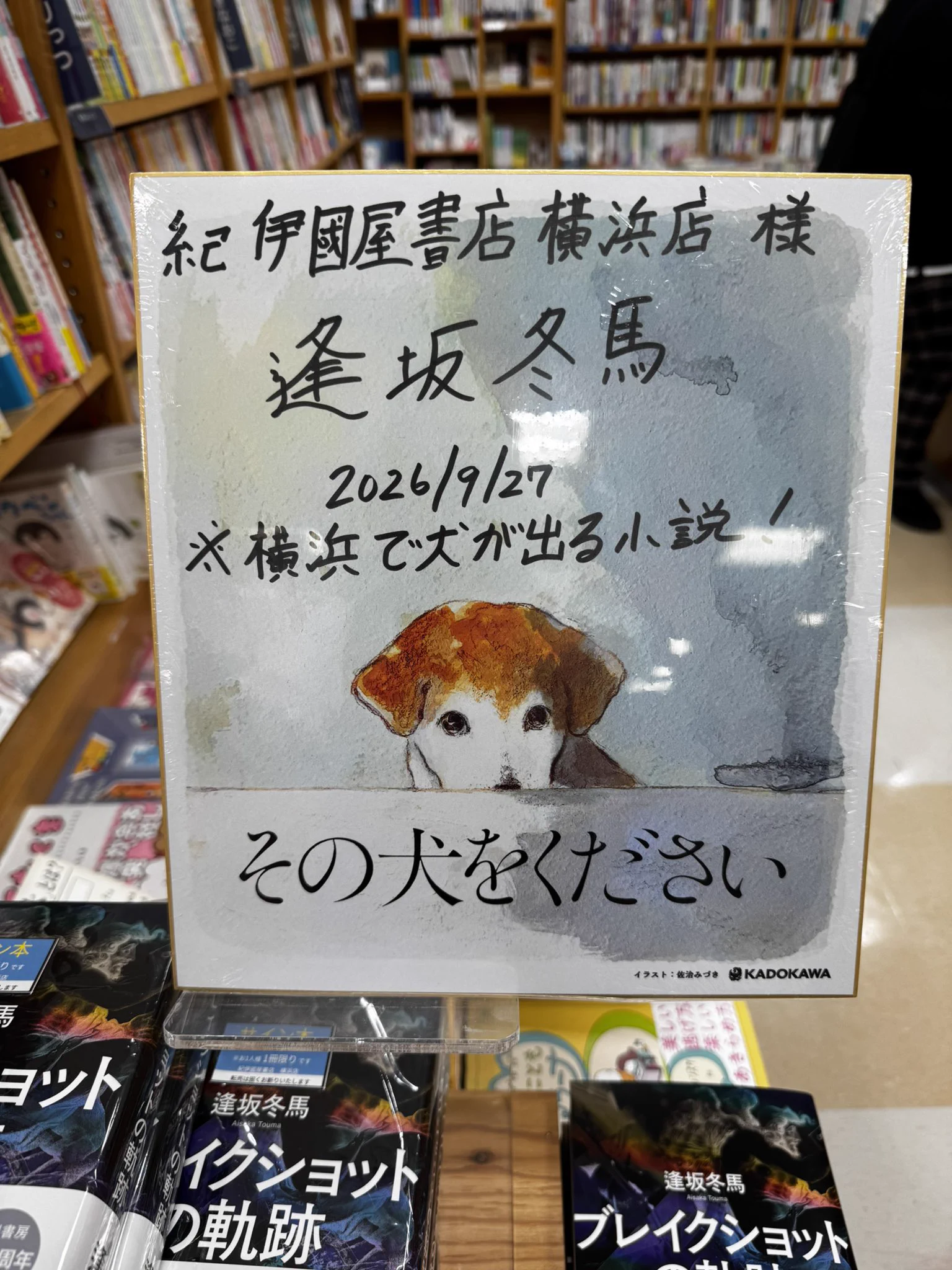 紀伊國屋書店横浜店 on X: 
