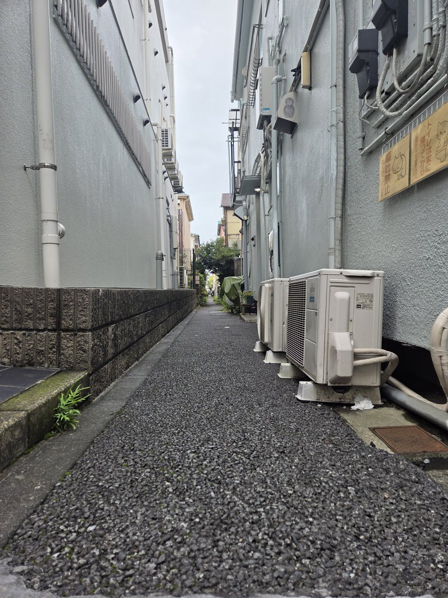 ikaikaaj's tweet photo. https://t.co/zJPF6DUrVT