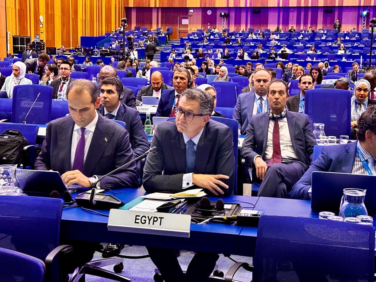 MfaEgypt tweet picture