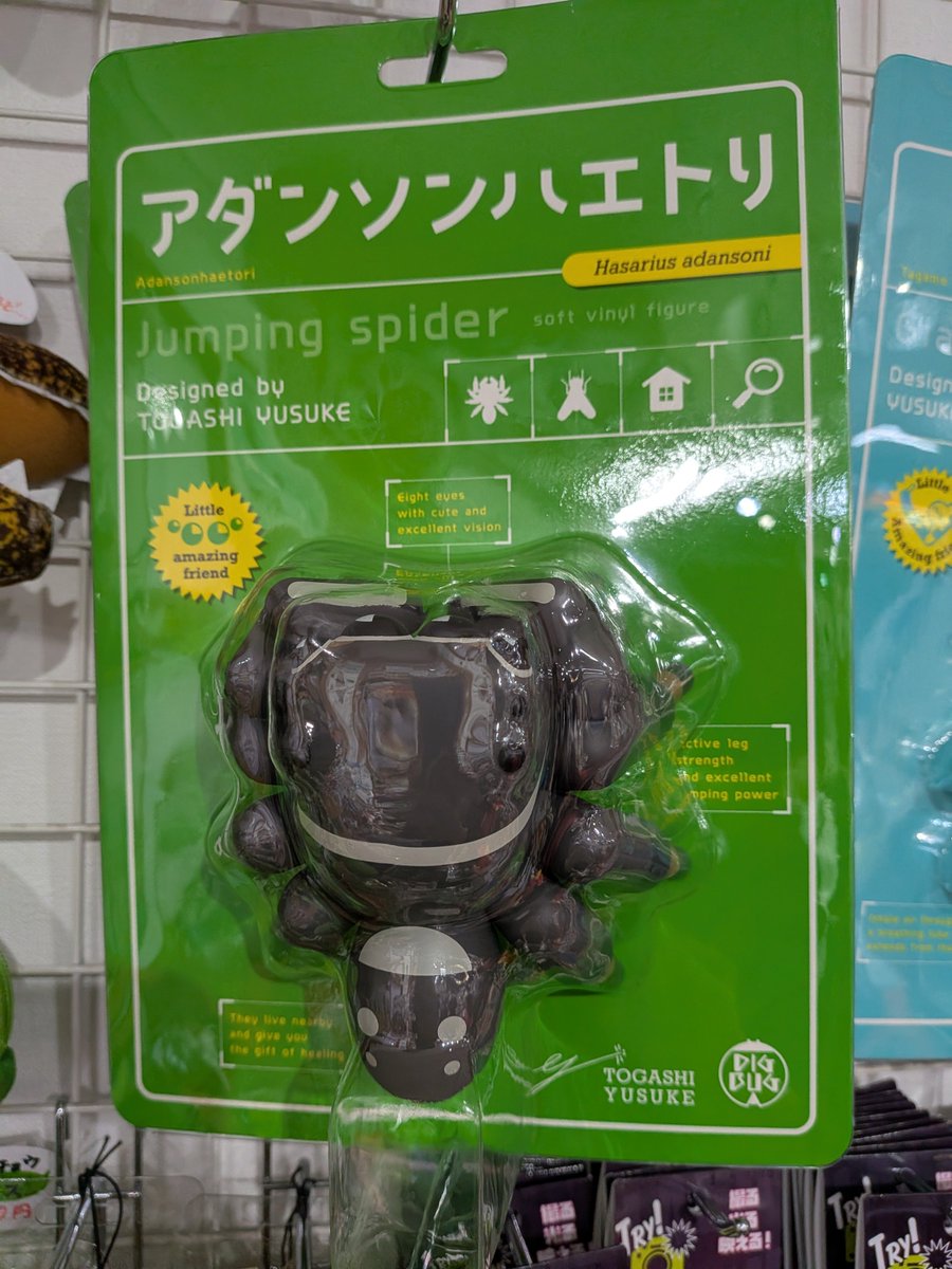 inabariku's tweet photo. 無事にサナギになるけど⋯⋯じゃないんよ。
推し虫のグッズが存在するなんて。その可能性すら考えたことなかったんだけど。
#足立区生物園 https://t.co/dSMMpnOHjD