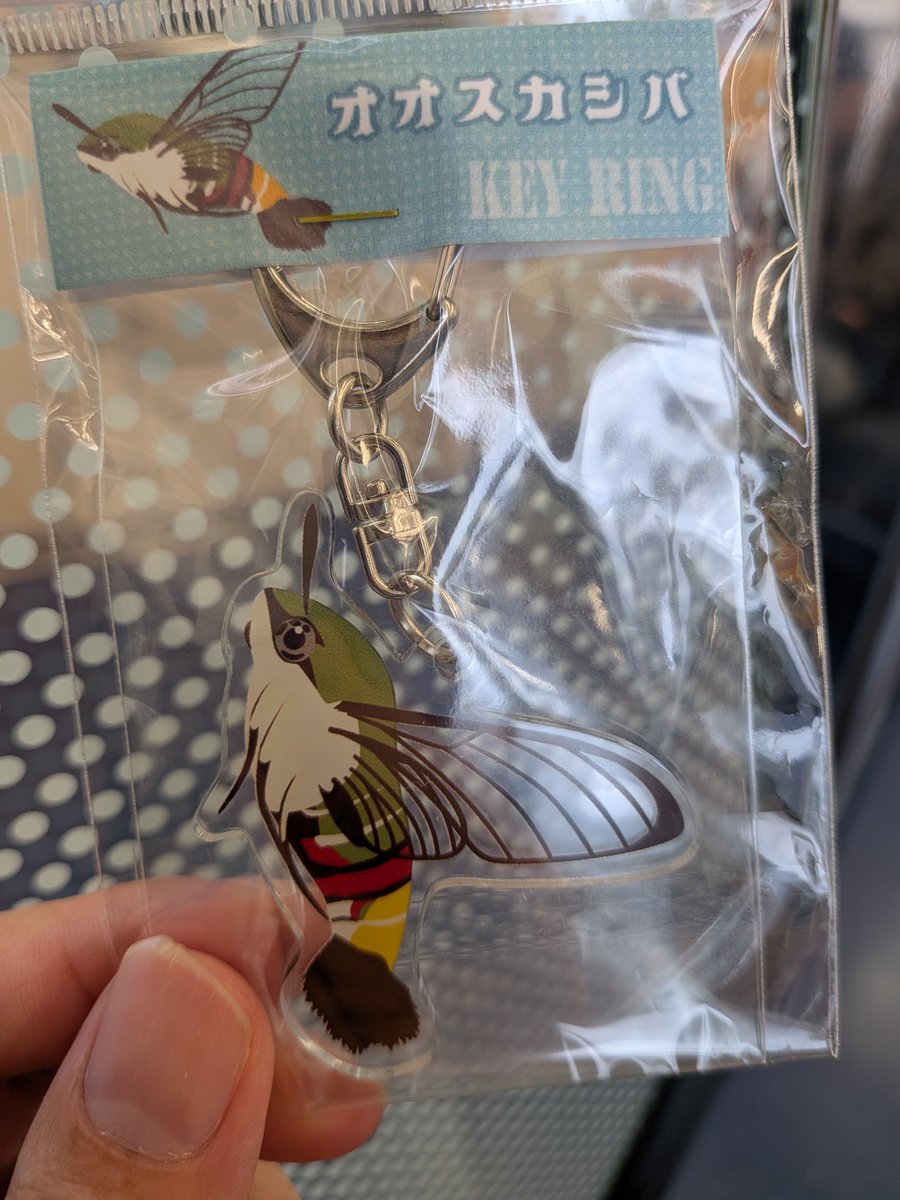inabariku's tweet photo. 無事にサナギになるけど⋯⋯じゃないんよ。
推し虫のグッズが存在するなんて。その可能性すら考えたことなかったんだけど。
#足立区生物園 https://t.co/dSMMpnOHjD