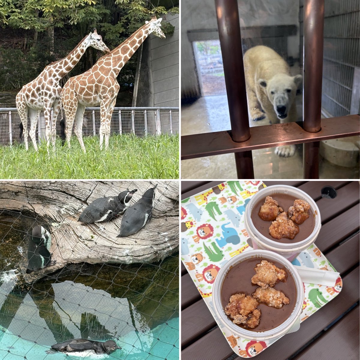 hkDz1C2VwG90388's tweet photo. 途中で雨降ってきて動物園撤退😭
仲間の🐧にも会えました笑

今は車の中で妻の買い物待ち

子供は寝てる☺️→𝕏 https://t.co/MOei4XNOqc