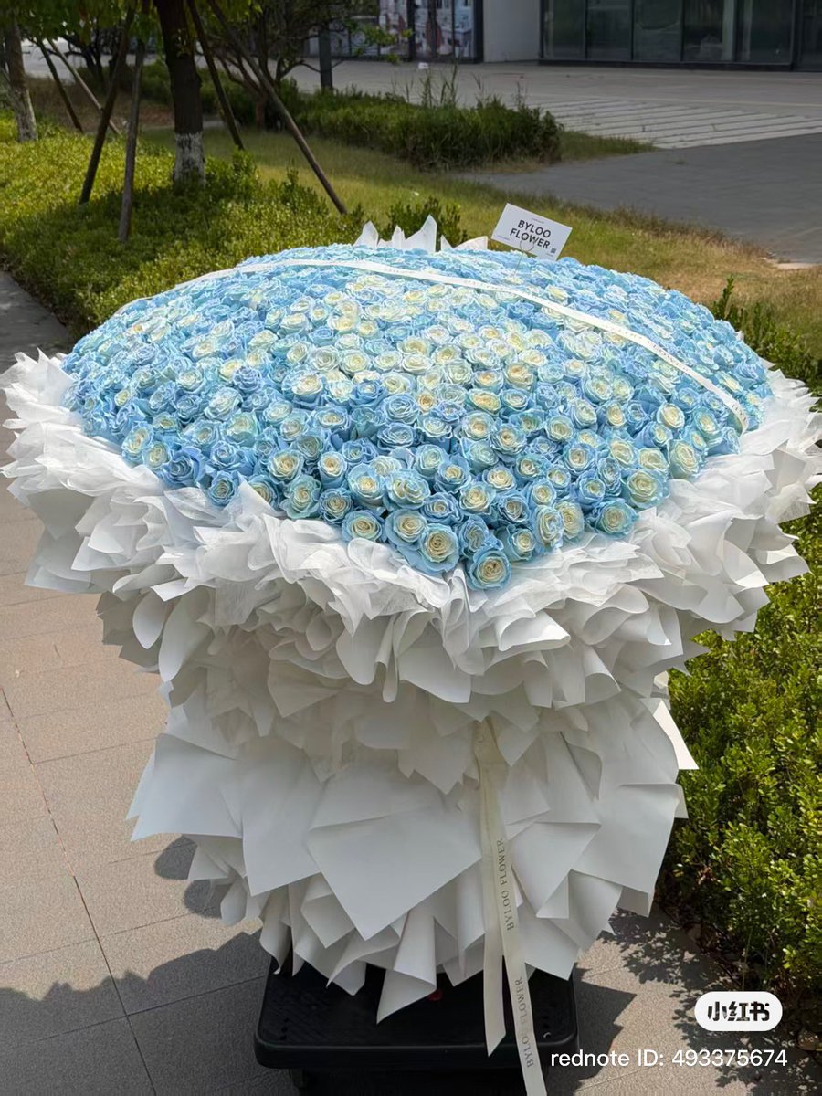 joonsikcorner's tweet photo. 518 Ecuadorian tinted blue roses were flown from Hangzhou to Shanghai for Yoon Sik’s Mooekiss event. The fans even arranged refrigerated transport to keep every rose fresh overnight. 🥹

Yoon Sik, I hope you can feel how loved you are today. 🍀🩵

#Kimyoonsik #김윤식 https://t.co/7xPm0WqD2i