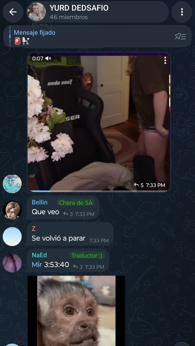 Miran422623's tweet photo. @pollo383932 @sylveemhm @SoyPan__ Pero que hablas?, si los mejores momentos del stream de Sylvee son cuando se levanta de su silla https://t.co/kuwe5NOpmj