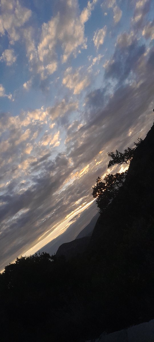 Daniela75570212's tweet photo. 🤍We could have been everything. I didn't want to rush things; I wanted it to grow slowly but with the intention of it lasting a lifetime. No matter who you were, without seeing your past, your present, or what you were hiding, I fell in love with the version of you I saw.🤍 https://t.co/XfY7YwXKNP