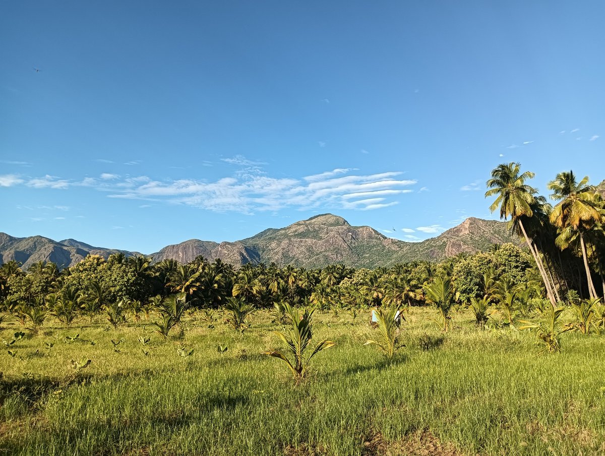 Vignesh_S_Raj's tweet photo. கூமாபட்டி Vibes 🤩 https://t.co/8GP6DimI2J