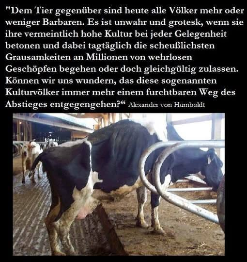 HanneloreHeil's tweet photo. https://t.co/JSAhBDuXQw