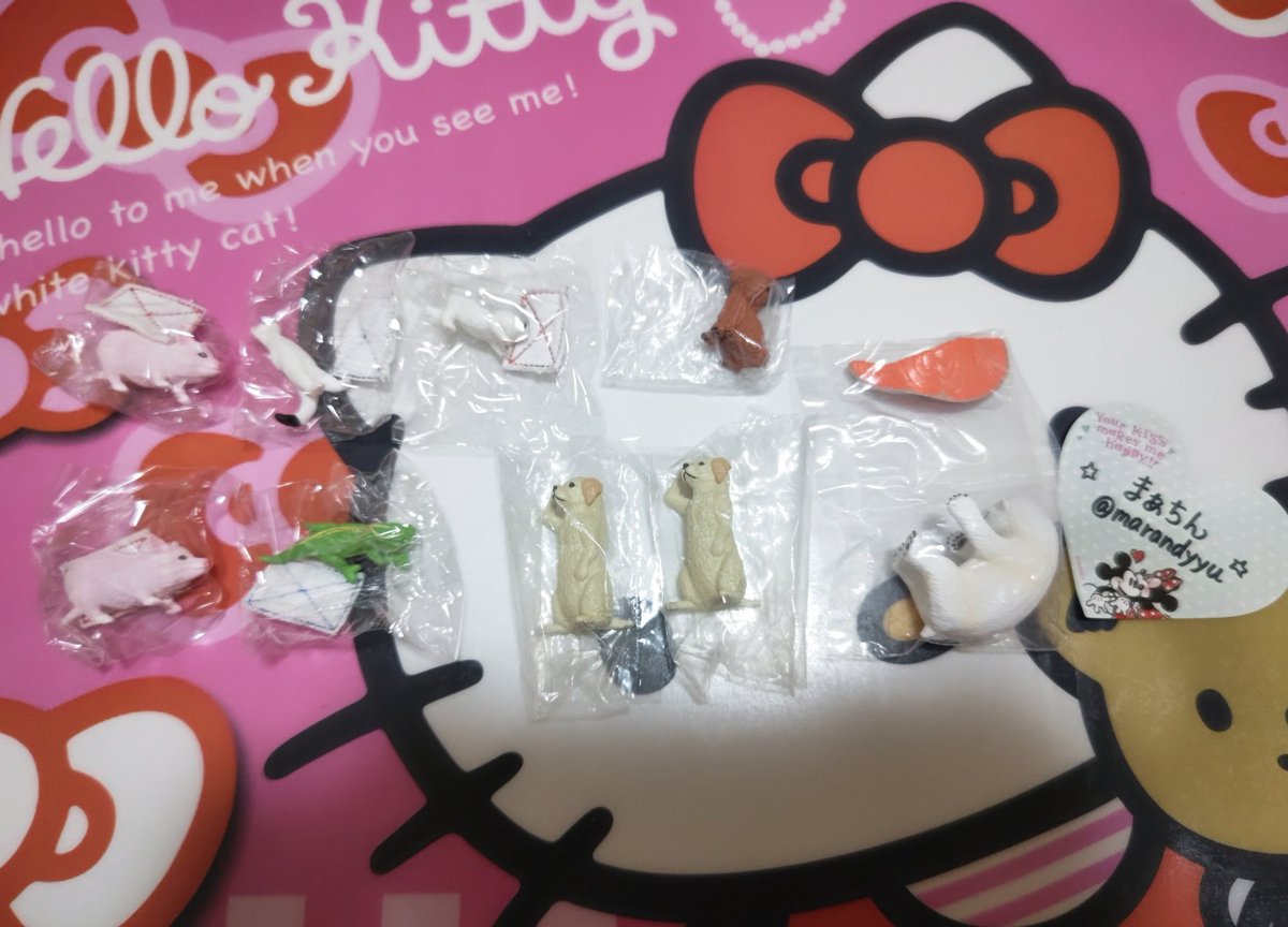 marandyyu's tweet photo. ❥敬礼わんこガチャ
譲→ラブラドール２

❥ぞうきんがけ当番ガチャ
譲→マンチカン、ミニブタ、カメレオン、オコジョ
❥ふり向けば君が…犬
譲→トイプードル
❥おいしいおふとん
譲→鮭おふとんシロクマ

求➡定価 or コーギー

大阪なら手渡し可、PayPay可
纏めてであれば送料は負担します https://t.co/Am805UTGsr