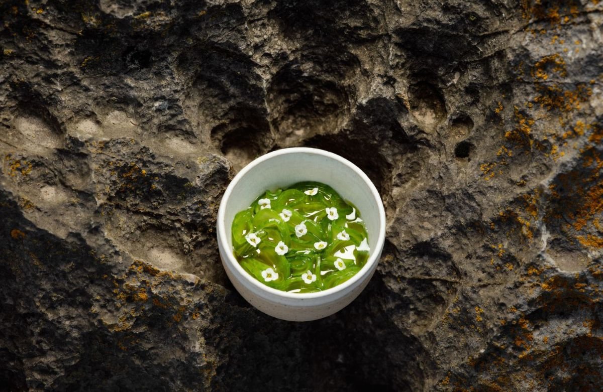 MichelinGuideUK's tweet photo. Simon Rogan: "My Food Couldn’t Simply Be Recreated Somewhere Else"

Our new Mindful Voices editorial series puts chefs in the spotlight, giving them a platform to share how they're rewriting gastronomy by championing new approaches

Read more here: https://t.co/jsztIxZS8V https://t.co/FsumN3FUbw