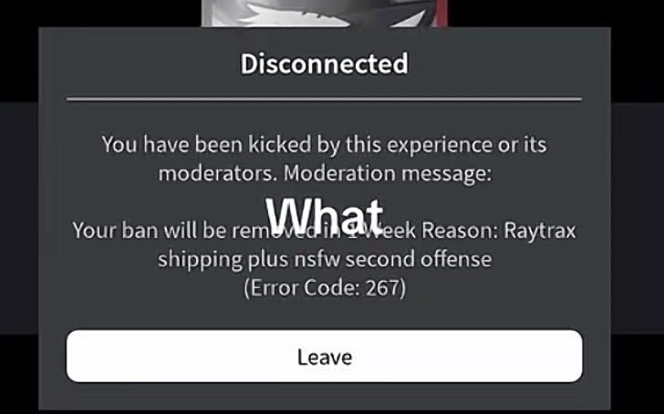 drpanther_'s tweet photo. Besides the nsfw shit I guess kp devs decided to make shipping bannable outside of the server now . Like not nsfw shipping just ships in general. Yeah shipping here is definitely the problem, the devs definitely have their priorities straight 

Small note This isn’t my screenshot https://t.co/YbPbdaPTx9