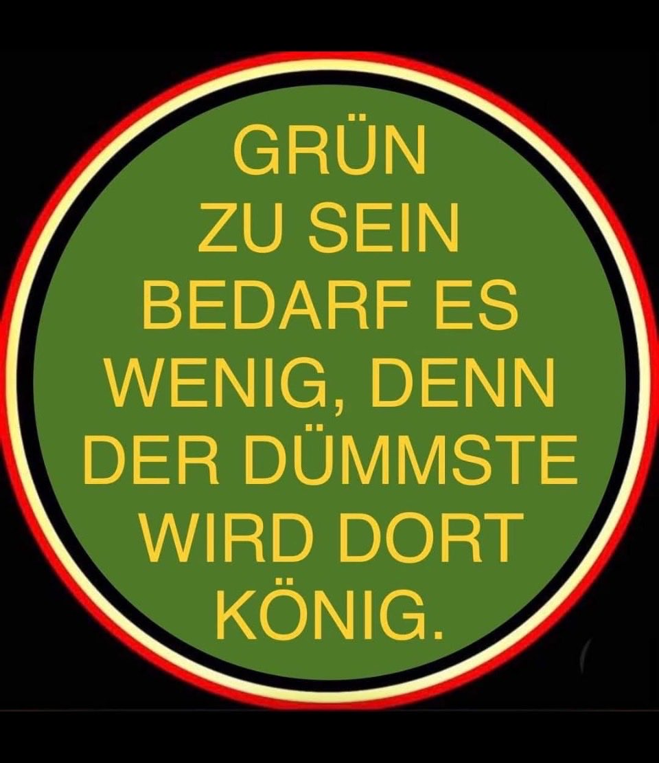 schwatten274's tweet photo. @EinzigArtig1904 @Die_Gruenen https://t.co/UAPWmazmKk