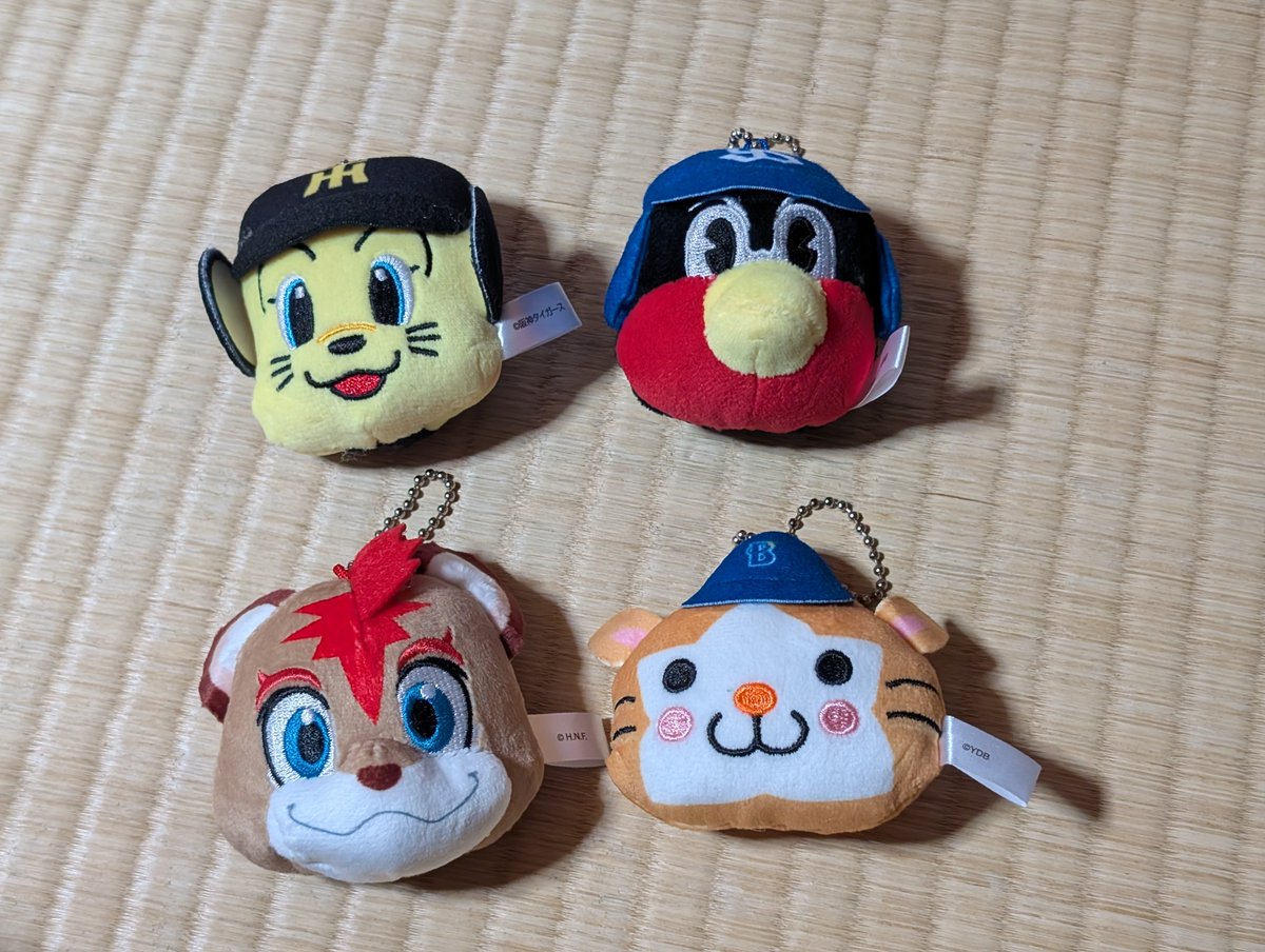 ybmae0128's tweet photo. https://t.co/G0xgXpa1X4