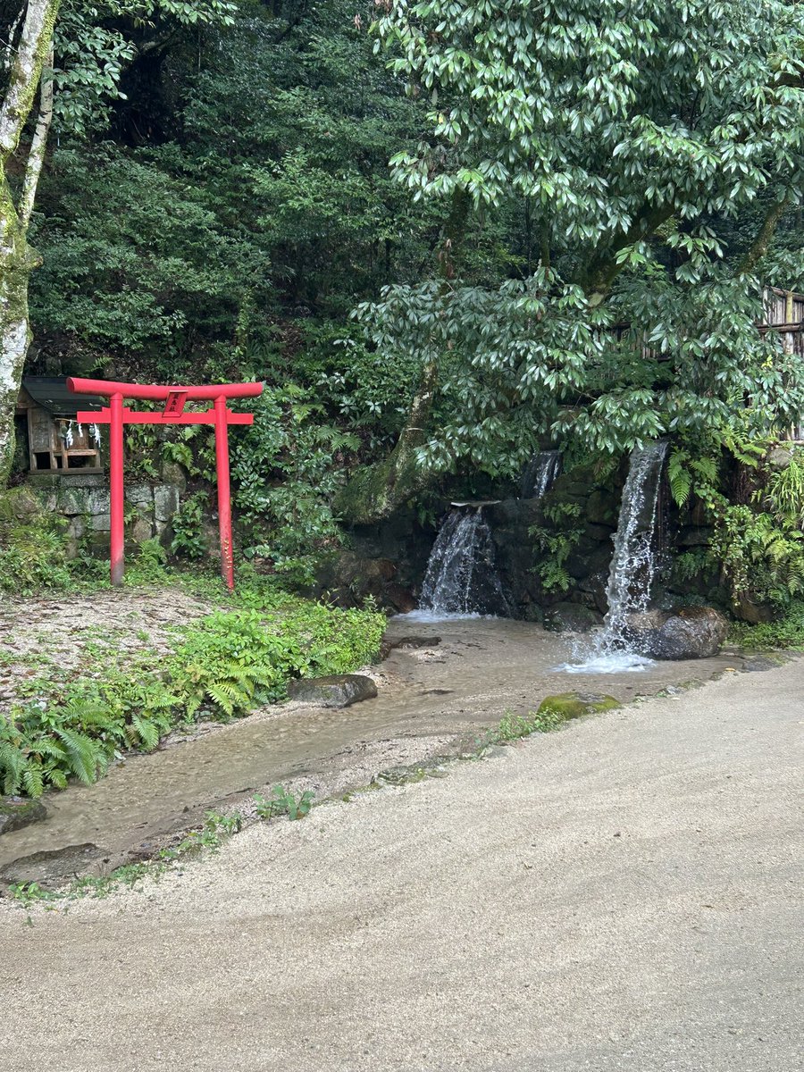 koh_Asn's tweet photo. #猿投神社 #三河国三宮 #猿投山 https://t.co/SmG4OUuc1I