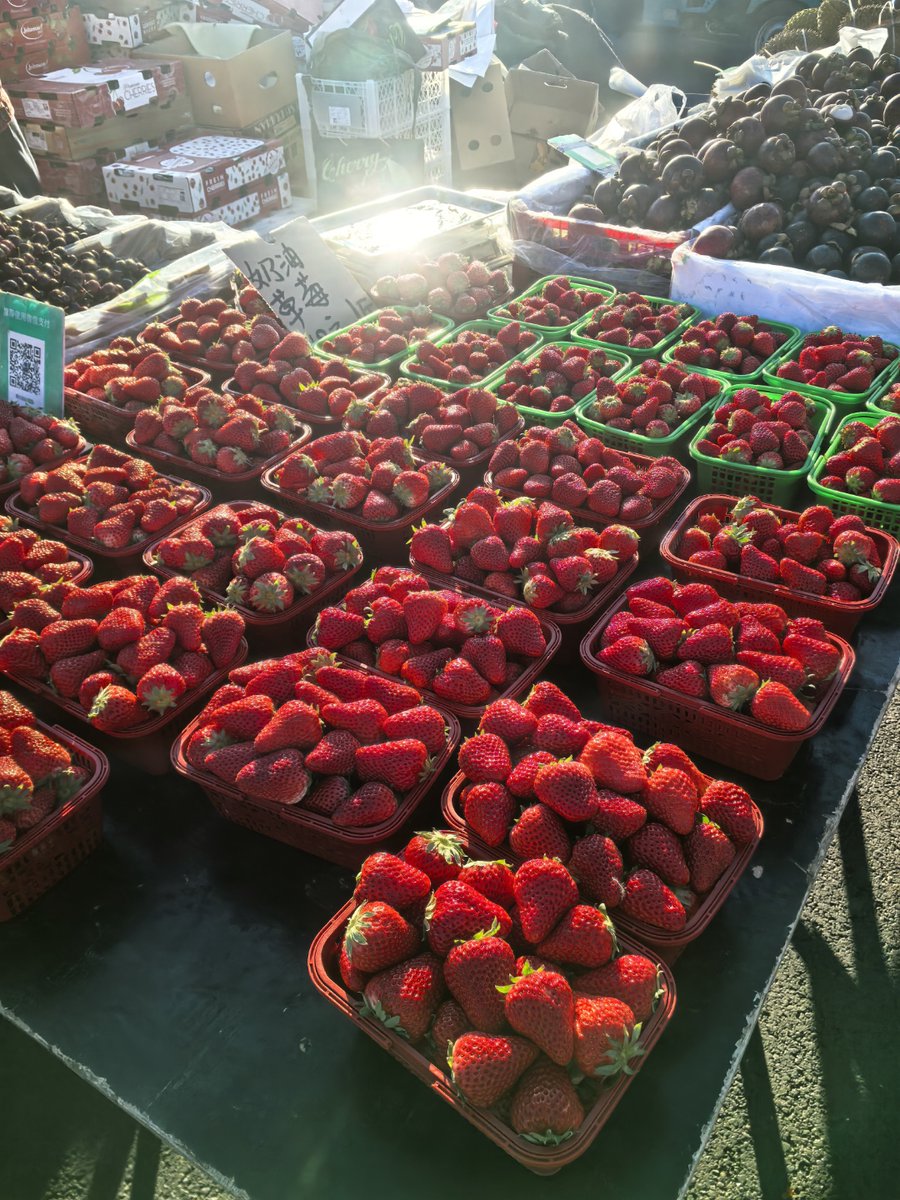 kaiamit780647's tweet photo. Fresh local strawberries u0026 organic eggs restocked in the store! Grab these juicy picks for your weekend baking or snacking  #FreshFind #LocalEats https://t.co/mJriptGrsK