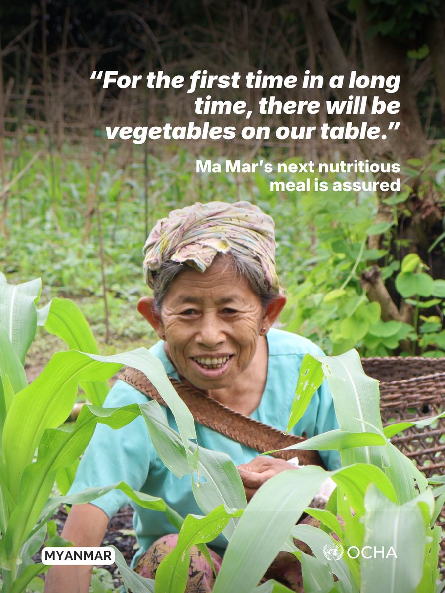 UNOCHA's tweet photo. “For the first time in a long time, there will be vegetables on our table.”

With support from the Myanmar Humanitarian Fund, @UNDP is helping families in Myanmar with seeds, organic fertilizer and farming guidance to grow fresh food and meet their food needs. https://t.co/0ic0WzDtZa