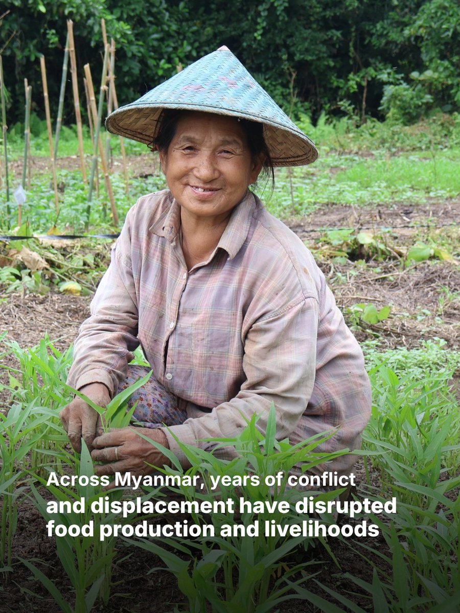 UNOCHA's tweet photo. “For the first time in a long time, there will be vegetables on our table.”

With support from the Myanmar Humanitarian Fund, @UNDP is helping families in Myanmar with seeds, organic fertilizer and farming guidance to grow fresh food and meet their food needs. https://t.co/0ic0WzDtZa
