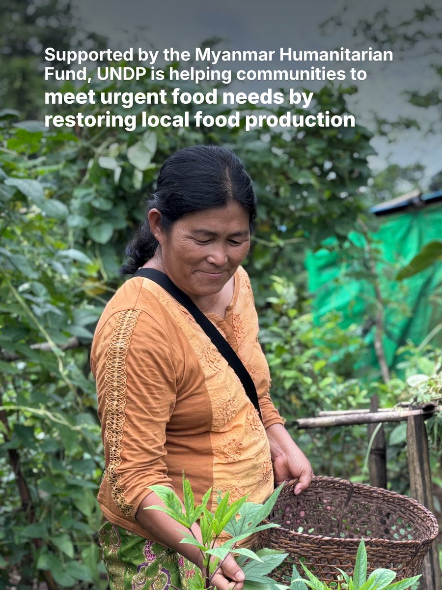 UNOCHA's tweet photo. “For the first time in a long time, there will be vegetables on our table.”

With support from the Myanmar Humanitarian Fund, @UNDP is helping families in Myanmar with seeds, organic fertilizer and farming guidance to grow fresh food and meet their food needs. https://t.co/0ic0WzDtZa