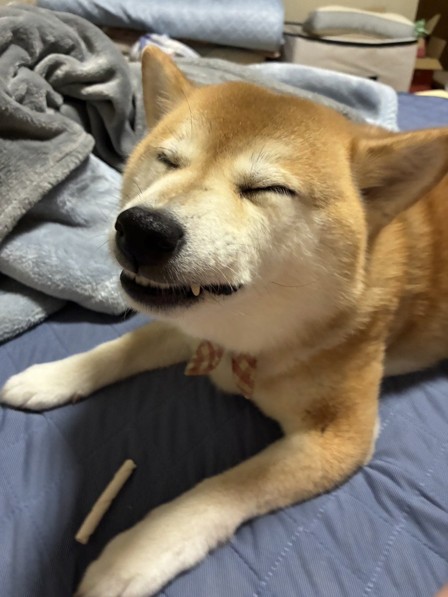 kipopipop's tweet photo. 美味しそう
おいしそう
多分美味しい https://t.co/tSmiWrjW4H