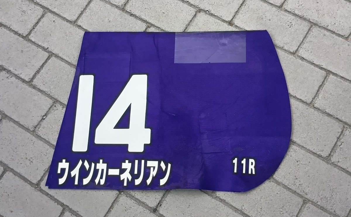 ististist_12's tweet photo. カーネリアンの報告会終わり！
敗因は馬場とのことでした。
今後については現時点では全くの未定とのことです。
でも9歳でよく頑張ってくれましたよ！
まぁ本心はちょっと悔しいですけど😅
これからヤケ酒会場に向かいますわ🤣 https://t.co/WEnYMXS45Z