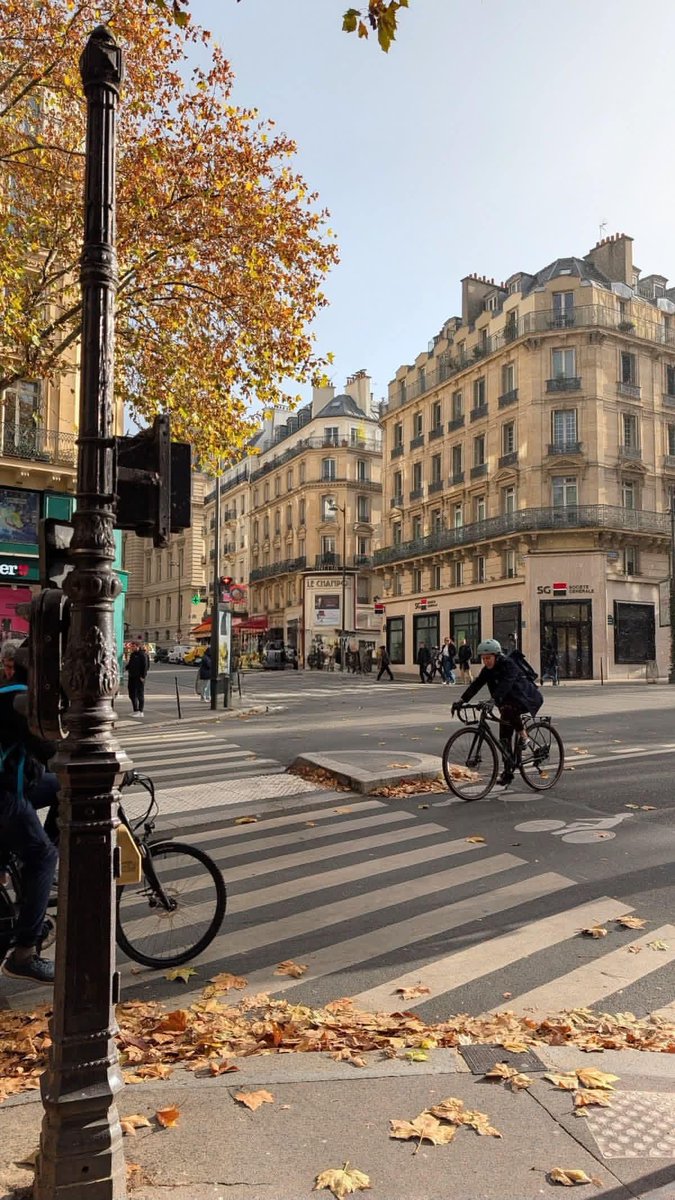 naturebeauty760's tweet photo. Autumn days in Paris, France 🇫🇷 https://t.co/eWsWKIuvSQ