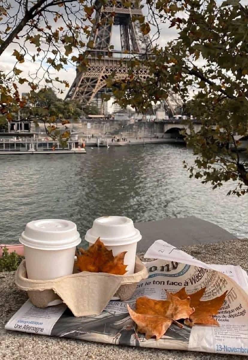 naturebeauty760's tweet photo. Autumn days in Paris, France 🇫🇷 https://t.co/eWsWKIuvSQ