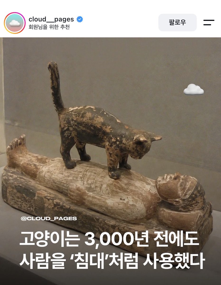Mmmooottt__'s tweet photo. 귀여워 이렇게 한결같기도 쉽지 않은데 https://t.co/wfYLsBnWKJ