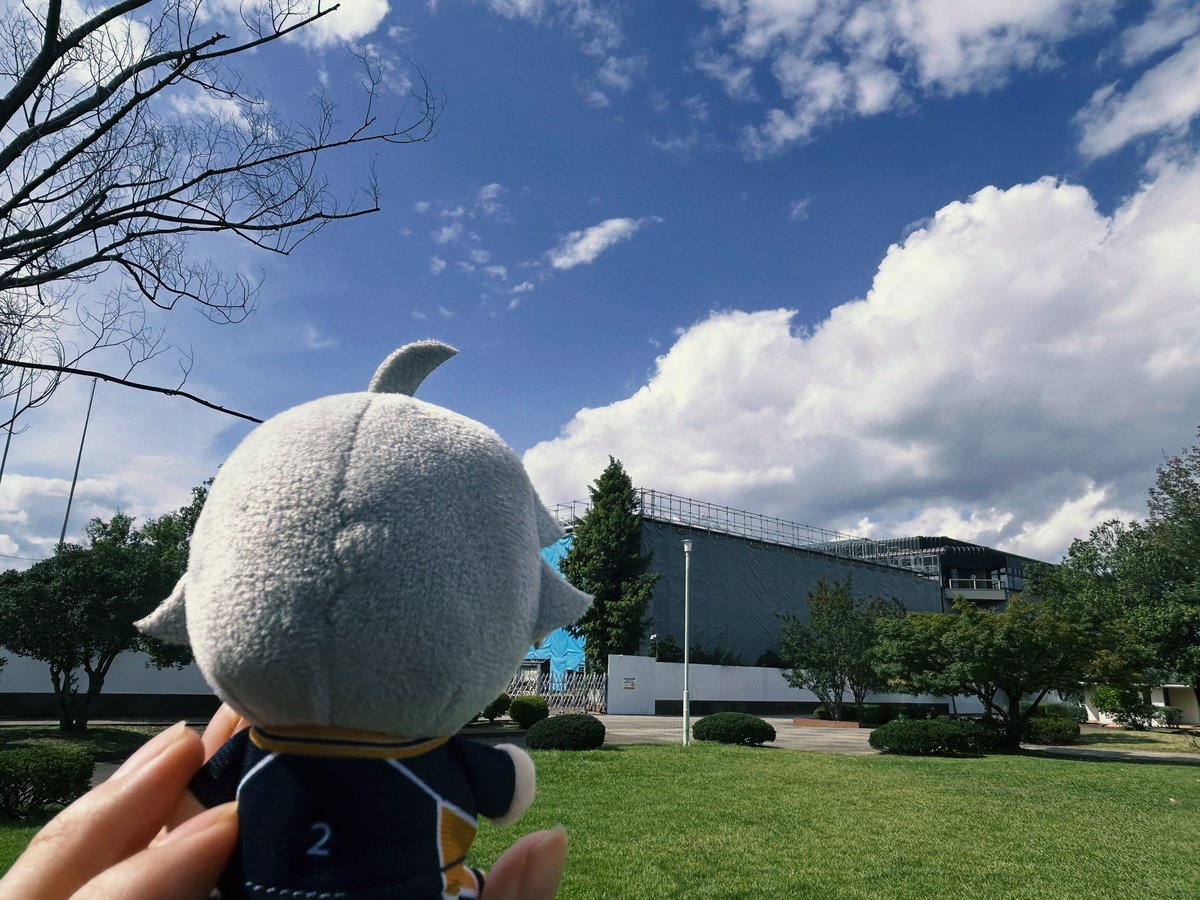 DaikiNojima's tweet photo. 仙台市体育館だよ🏐 https://t.co/0AHZ9p4Hj7