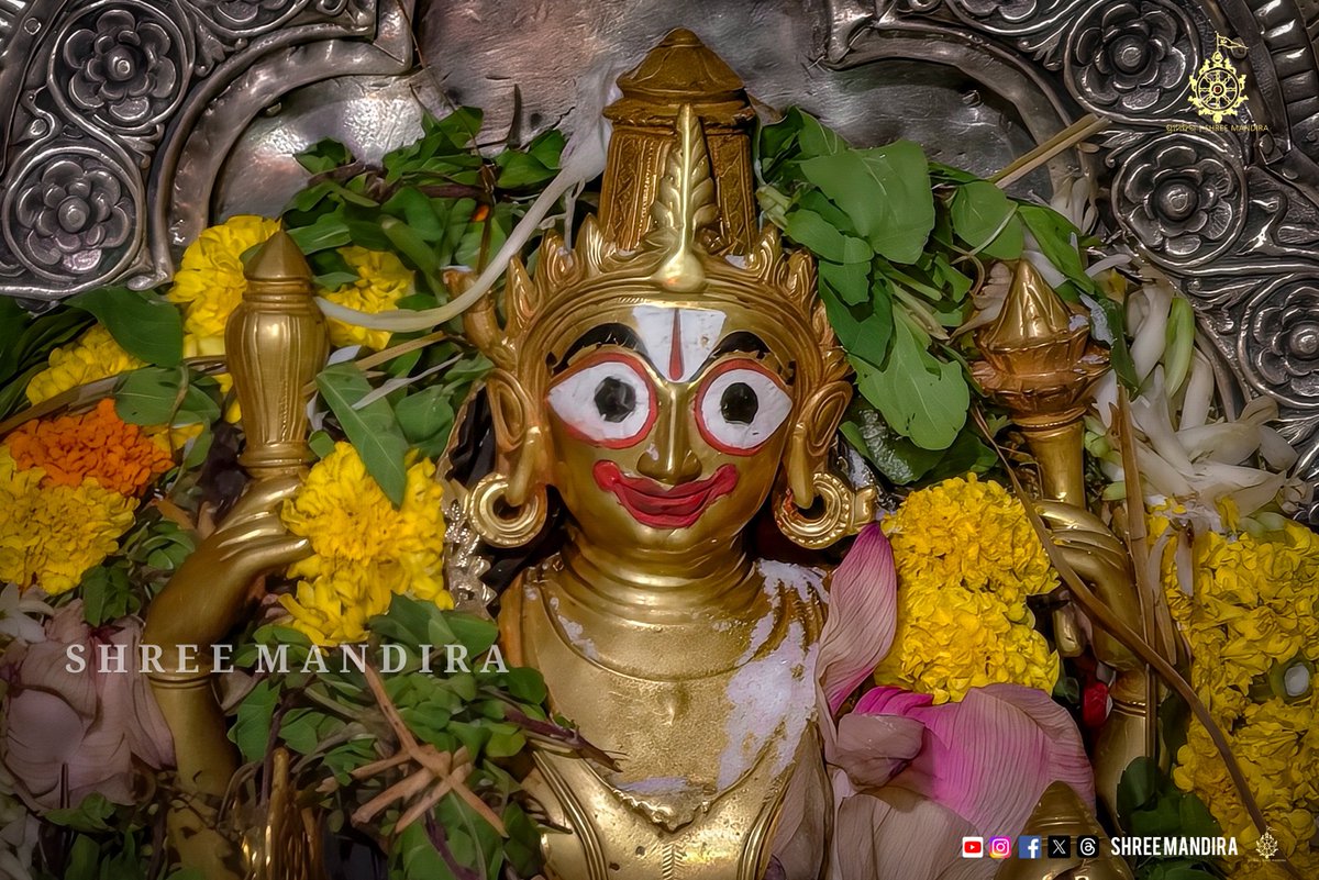 shree_mandira's tweet photo. ପବିତ୍ର ଇନ୍ଦ୍ରୋତ୍ସବ ପୂର୍ଣ୍ଣିମାରେ ଅନୁଷ୍ଠିତ ହୋଇଥିବା ଇନ୍ଦ୍ର ଗୋବିନ୍ଦ ବନ୍ଦାପନା ଓ ଇନ୍ଦ୍ର ହାତୀ ପ୍ରସ୍ତାବ ନୀତିର କିଛି ଦୃଶ୍ୟ । https://t.co/QC0IKv3CBh