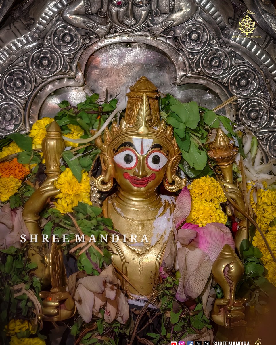 shree_mandira's tweet photo. ପବିତ୍ର ଇନ୍ଦ୍ରୋତ୍ସବ ପୂର୍ଣ୍ଣିମାରେ ଅନୁଷ୍ଠିତ ହୋଇଥିବା ଇନ୍ଦ୍ର ଗୋବିନ୍ଦ ବନ୍ଦାପନା ଓ ଇନ୍ଦ୍ର ହାତୀ ପ୍ରସ୍ତାବ ନୀତିର କିଛି ଦୃଶ୍ୟ । https://t.co/QC0IKv3CBh