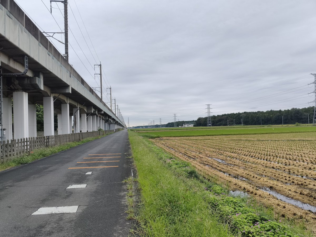 okapyjapan's tweet photo. 今朝は赤電さんにお会いしました。さて、今日は東北本線野木駅で降りて農協のお店寄ったあと、新幹線の線沿いに小山駅まで歩きました。 https://t.co/HMDN2IbGUu