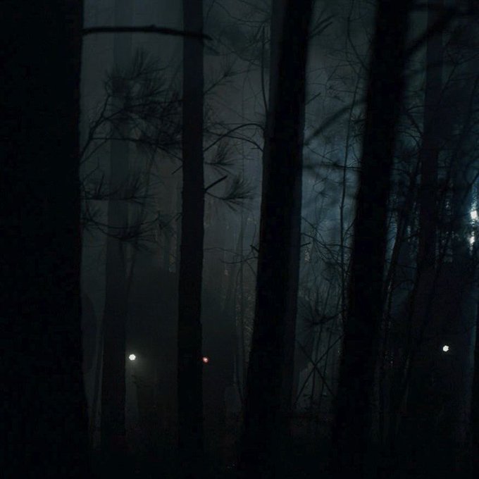 DJOLLANOV's tweet photo. i will forever mourn the show stranger things could’ve been if they focused less on being safe and keeping characters alive and more on the cosmic horror and genuine mystery surrounding the upside down https://t.co/PP2miLvIVJ
