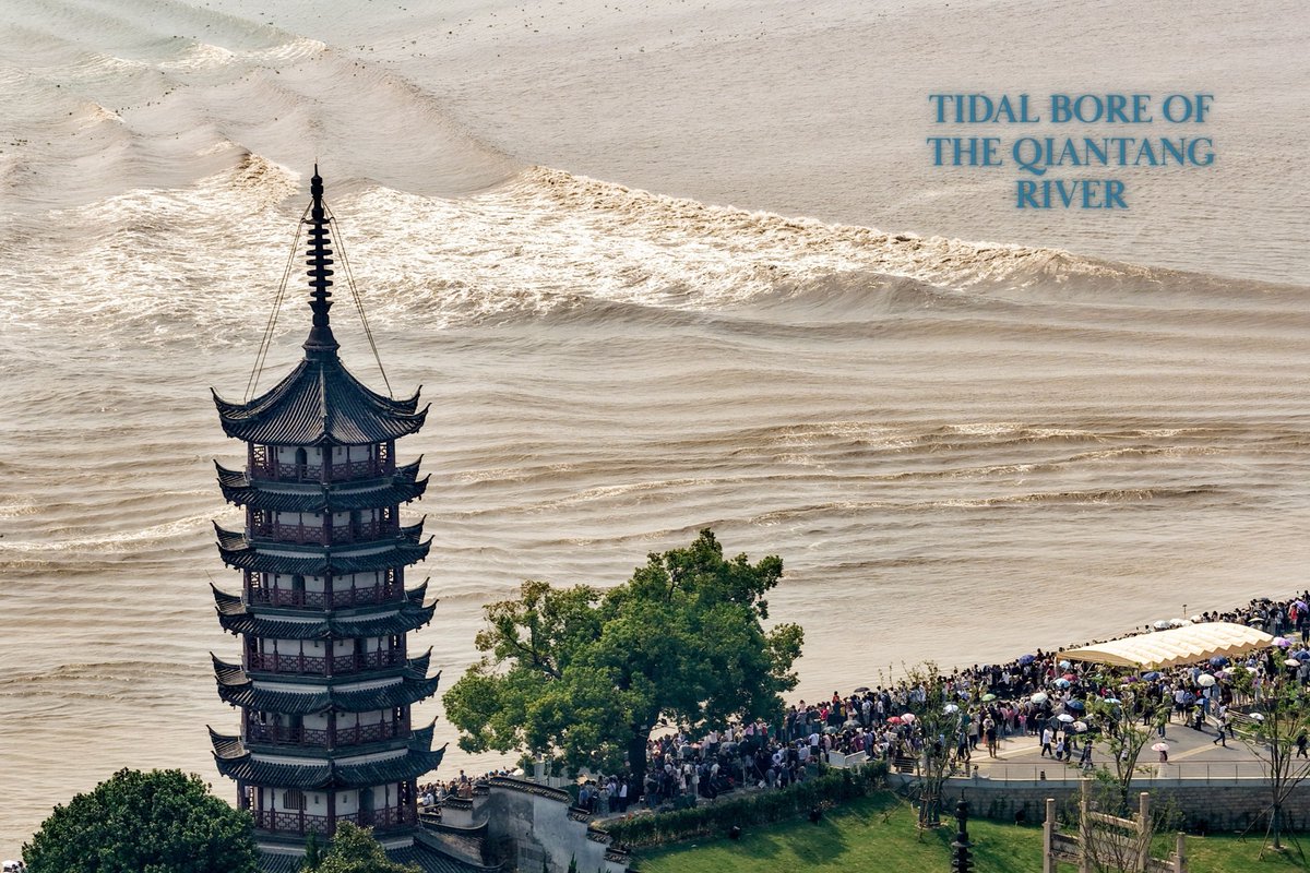 FlyOverChina's tweet photo. View the tidal bore of the Qiantang River from above. 🌊
📍Haining City, Zhejiang Province

#Chinatravel #flyoverchina #qiantangriver https://t.co/VNkTGi3ofn
