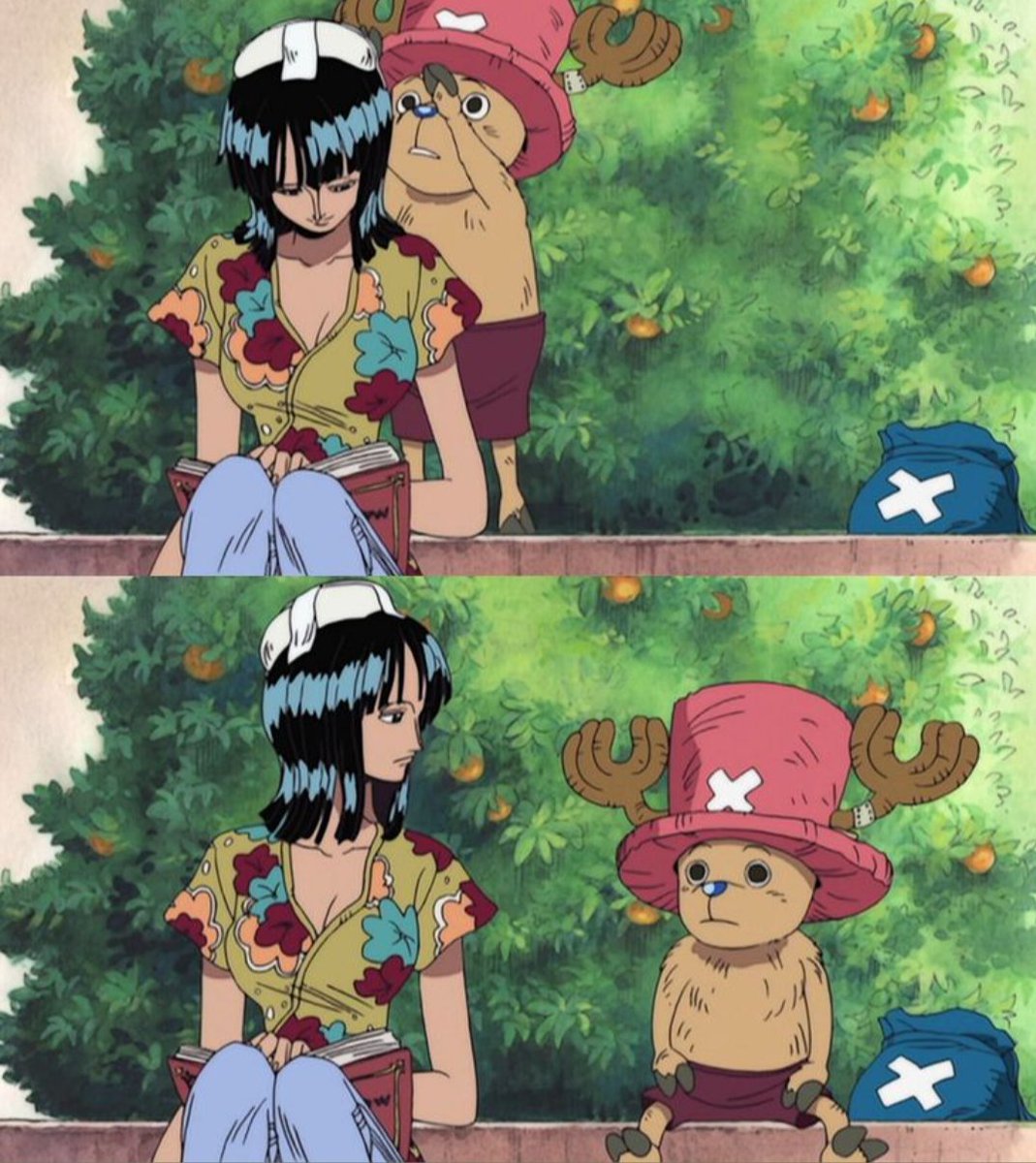 thepokeflutist's tweet photo. Chopper and Robin 🥺🥺🥺 https://t.co/n76CPyaLAq