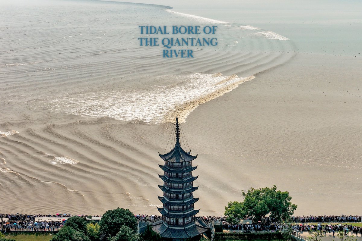 FlyOverChina's tweet photo. View the tidal bore of the Qiantang River from above. 🌊
📍Haining City, Zhejiang Province

#Chinatravel #flyoverchina #qiantangriver https://t.co/VNkTGi3ofn