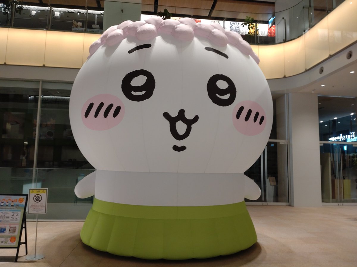 MFA6D's tweet photo. ちいかわ、デカい… https://t.co/cd4qI7paRQ