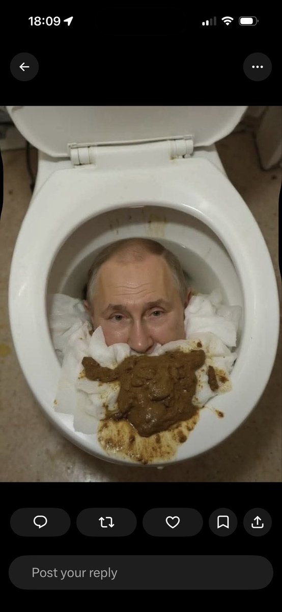 mars86176's tweet photo. @dhulqarnayn786 Flush the toilet, the everything will be good 👍 https://t.co/k6VUjdnZK3
