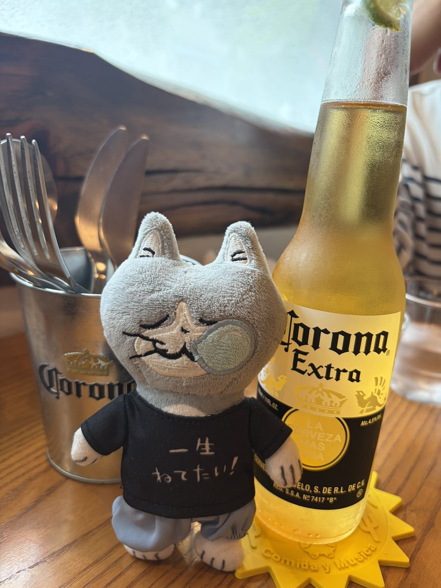 brownworkcat's tweet photo. 写真会までの間に悠長にタコス食べて横浜を楽しんでいる間にW猫の対面を見逃す私www
次がもしあるならステージや写真撮影会の公式タイムでも絡みを見せていただければ嬉しいです！！！
でも美味しかったからヨシです👈
メキシカンにはコロナだよね🌮
#仕事猫
#くまみね工房
#東京湾感謝祭 https://t.co/0KyaAReoAE
