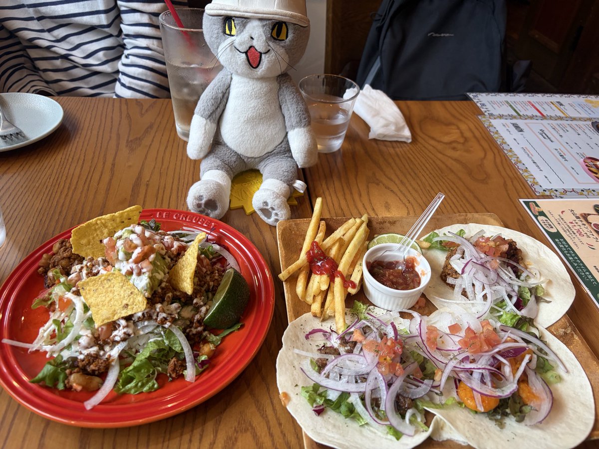 brownworkcat's tweet photo. 写真会までの間に悠長にタコス食べて横浜を楽しんでいる間にW猫の対面を見逃す私www
次がもしあるならステージや写真撮影会の公式タイムでも絡みを見せていただければ嬉しいです！！！
でも美味しかったからヨシです👈
メキシカンにはコロナだよね🌮
#仕事猫
#くまみね工房
#東京湾感謝祭 https://t.co/0KyaAReoAE