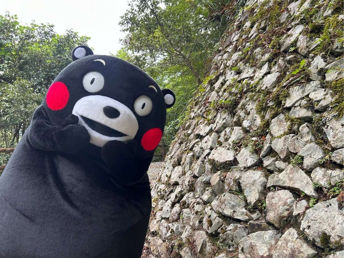55_kumamon's tweet photo. おはくま〜！今日も1日よろしくま！ https://t.co/U7pRV1isW2