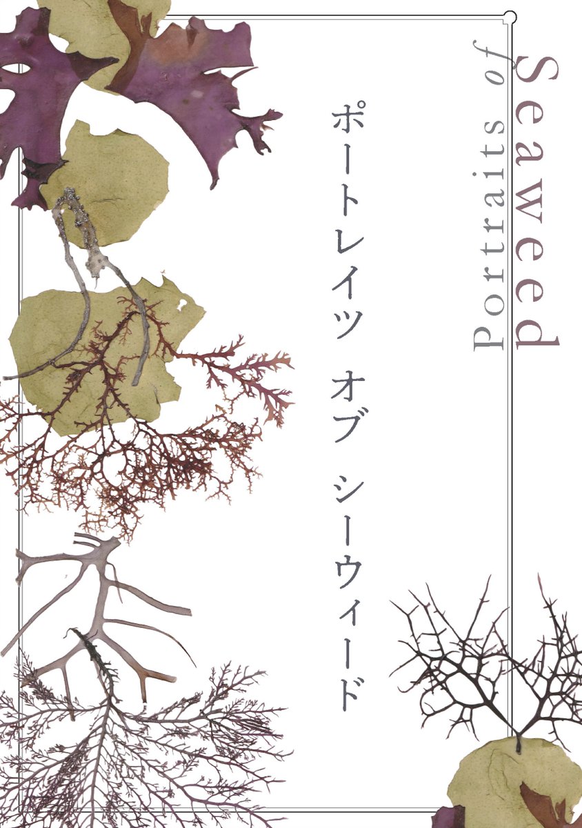 umi_museum tweet picture