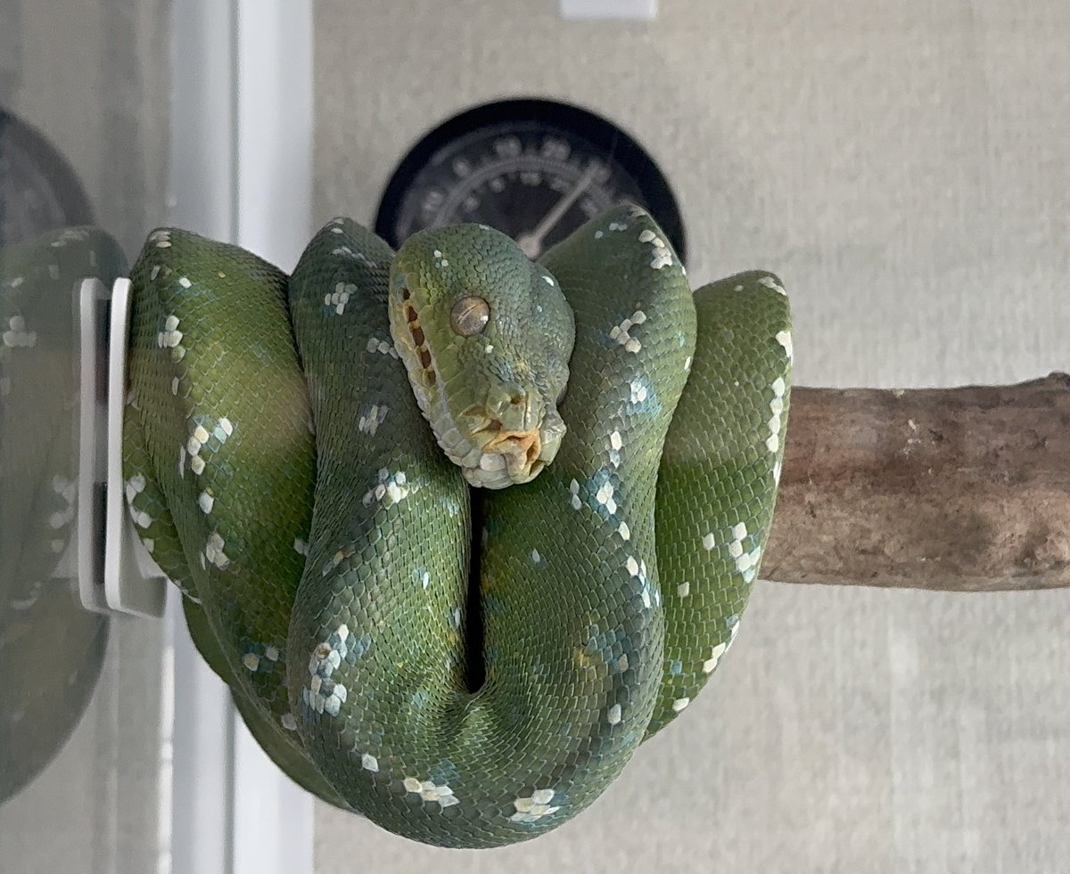 _72816204_'s tweet photo. こう見た方が分かり易いﾅ❓ https://t.co/m3luDnDiMn