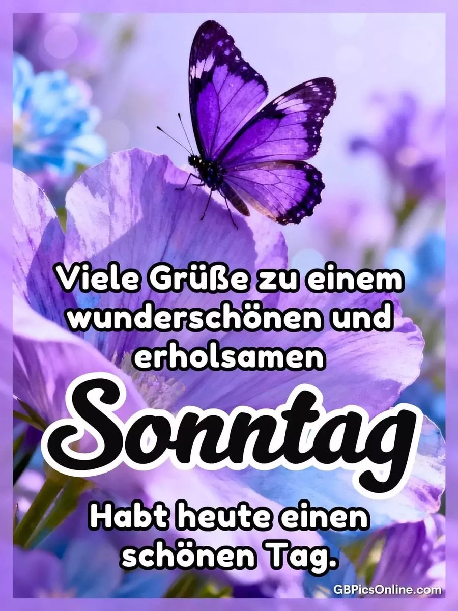 BrockmannCd's tweet photo. 🌳  🍁  ⛅️  🍁  🌳 
              Einen 
    wunderschön   
    besinnlichen Sonntagmorgen   
         wünsche    
          ich euch 
  🤗  🌹 ☕️ 🌹  🖐 https://t.co/7hFwa0NG60